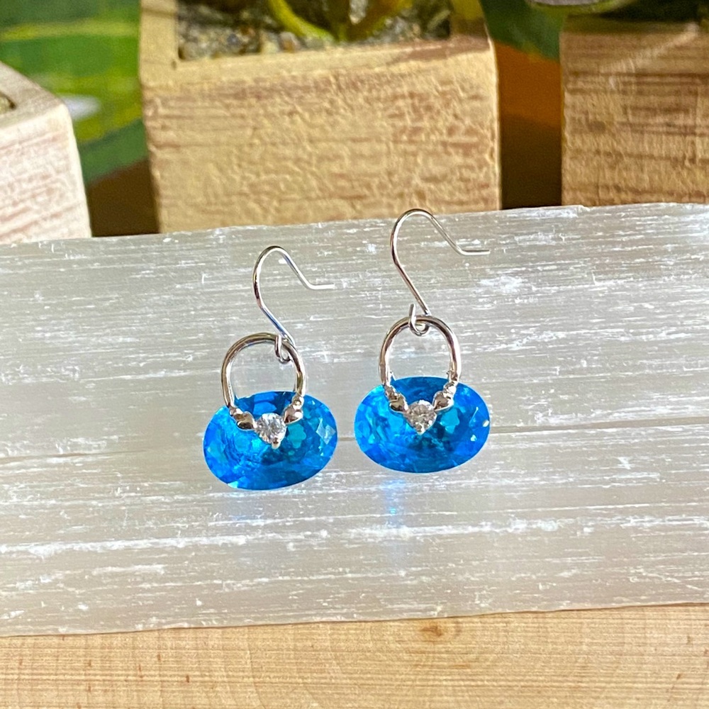 LGA VIN Blue Crystal Purse Earrings 💙✨